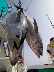 gomera-deep-see-fishing-1-1524248
